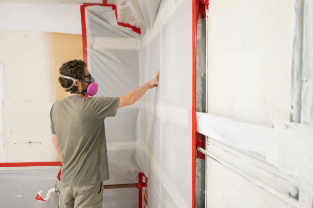 Best Mold Damage Restoration  in University Of Lifornia Davis, CA